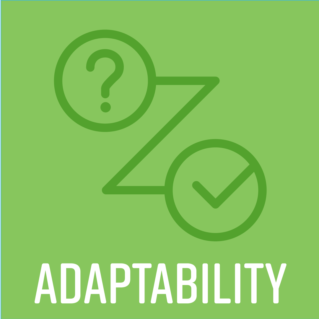 Titled "Adaptability" with icon showing a path from question mark to check mark