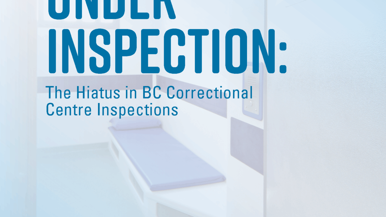 Under Inspection PDF Cover