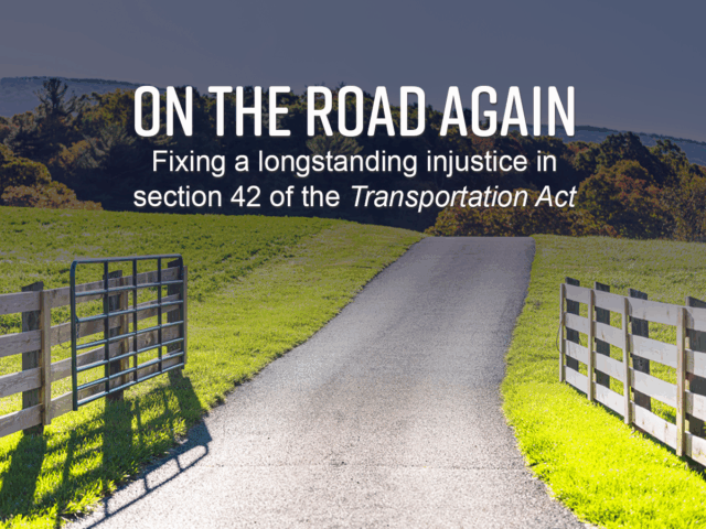 Road that crosses over a field towards a forest with an open fence
