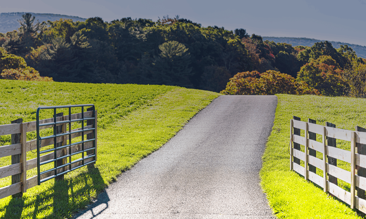 Rural road on a sunny day