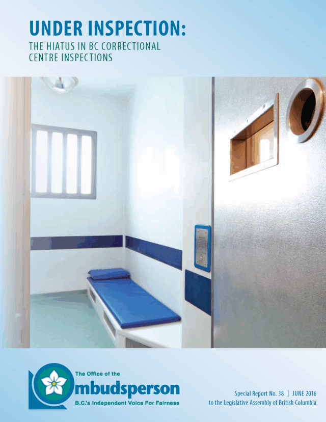 Under INspection Special Report No. 38 Cover