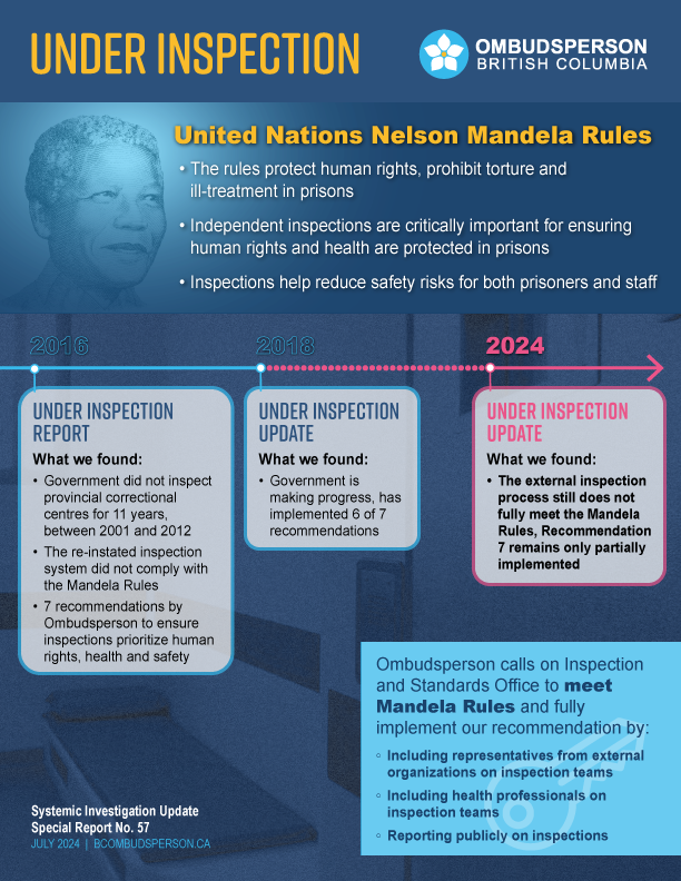 Under Inspection Infographic