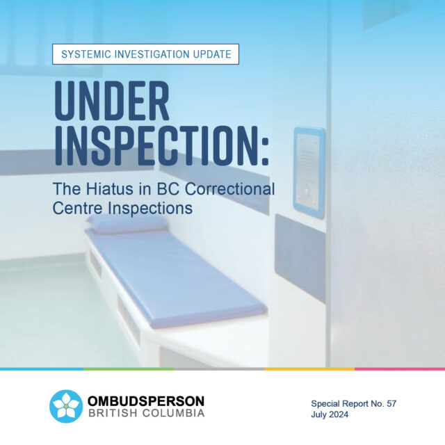 Under Inspection Cover