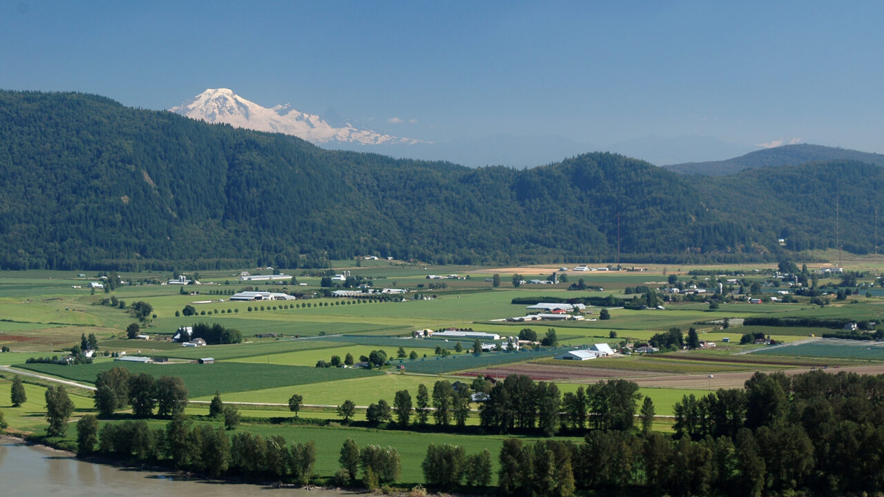 The Beautiful Fraser Valley with Mt Baker in the background.